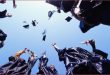 International Scholarships For Nigerians -SchoolNewsNG.com