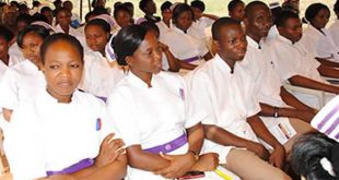 School of Health/ Nursing News
