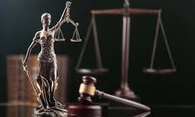 Universities offer Law programmes